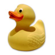 lDucks