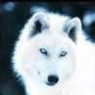 Nils