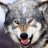 The Dire Wolf
