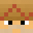 TurtlePlow