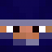 Fogt